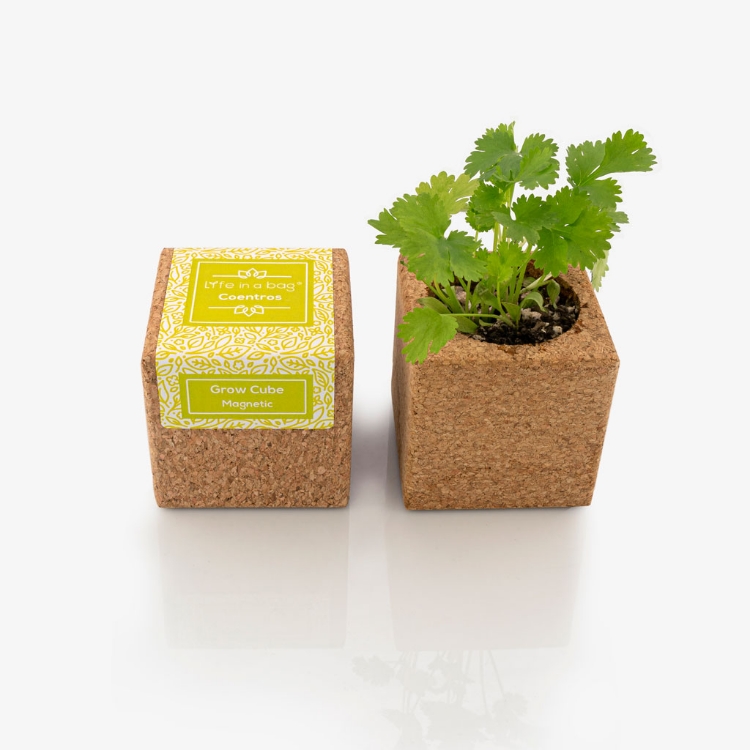 Grow Cube - Coentros